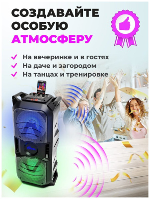 Портативная акустика Ritmix SP-850B