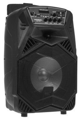 Портативная акустика NATIONAL NSM-V100