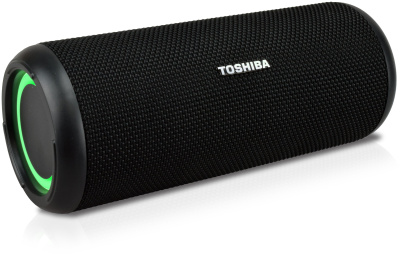 Портативная акустика Toshiba TY-WSP201
