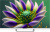 ЖК-телевизор Topdevice TDTV32CS04H_WE