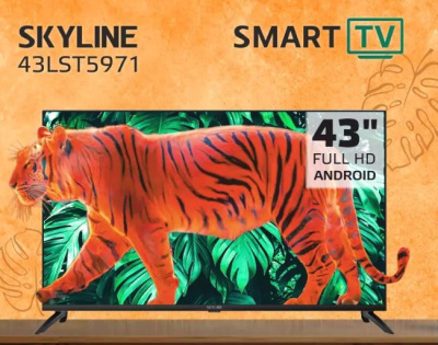 Телевизор Skyline 43LST5971