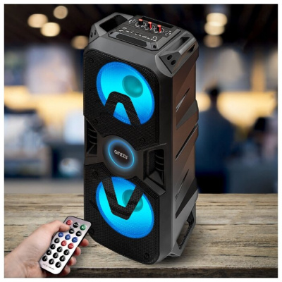 Портативная акустика Ginzzu GM-207