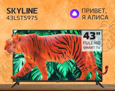 Телевизор Skyline 43LST5975