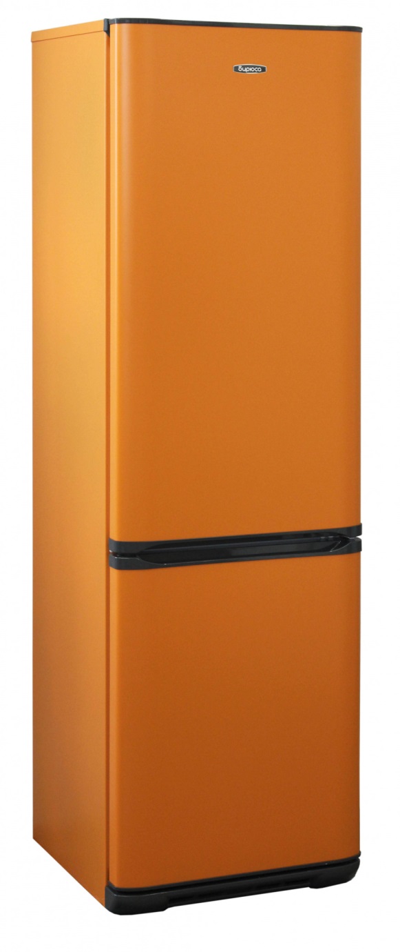 Холодильник Бирюса Т6027